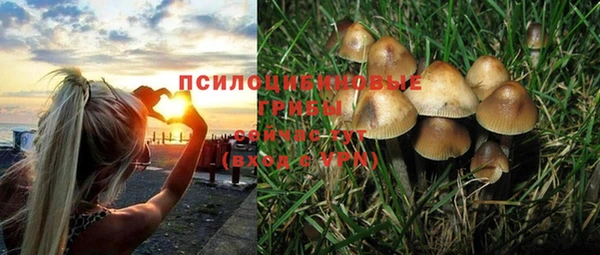Альфа ПВП Краснослободск