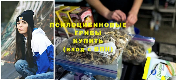 мяу мяу кристалл Костерёво