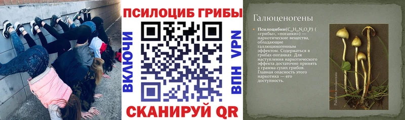 Галлюциногенные грибы мухоморы  где найти наркотики  Лагань 